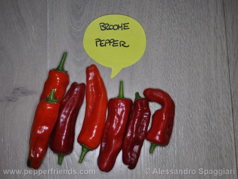 brome-pepper_001_frutto_03.jpg