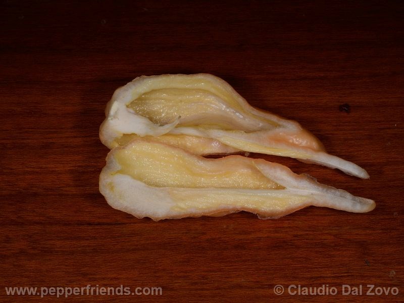 jay-peach-ghost-scorpion_002_frutto_09.j