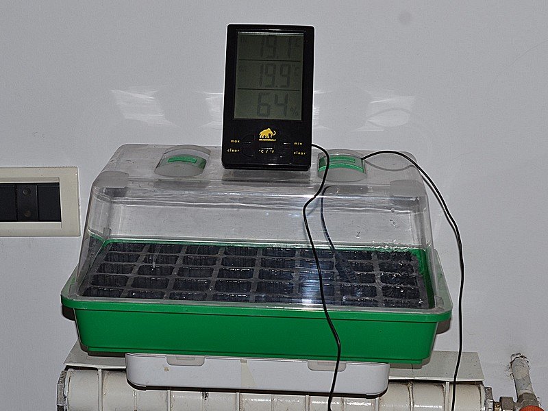 Germbox con misuratore temperatura e umidità.jpg