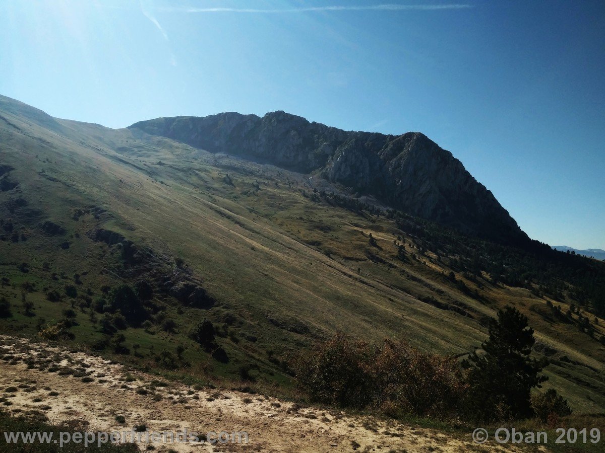 Monte Tino (Serra di Celano) - 01.jpg