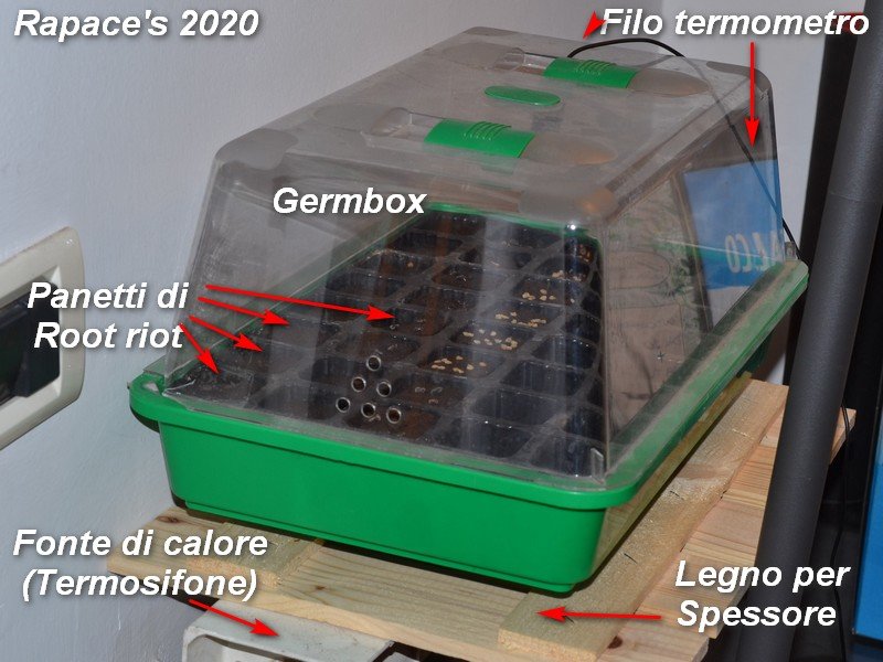 01 Germbox Set-up 2020.jpg