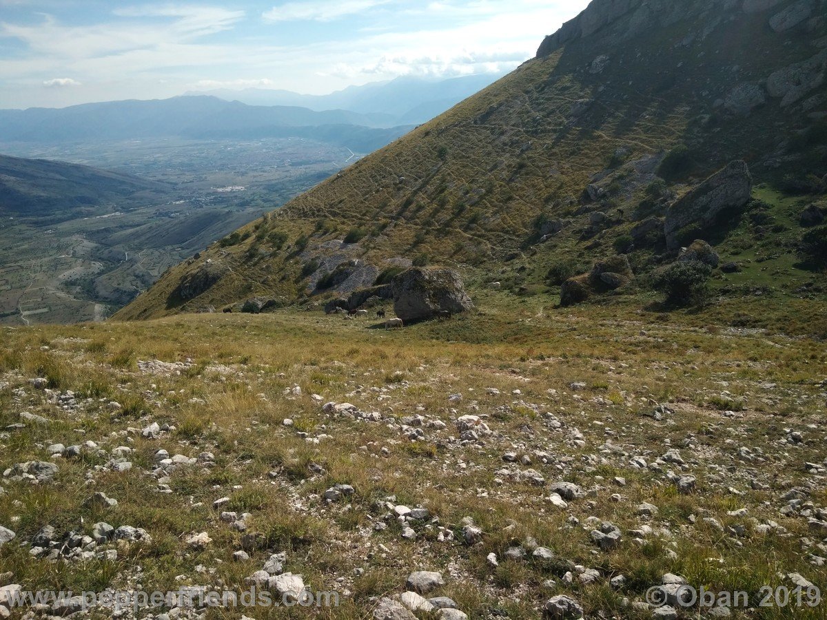 Monte Il Bicchero & Cafornia 2019 - 079.jpg