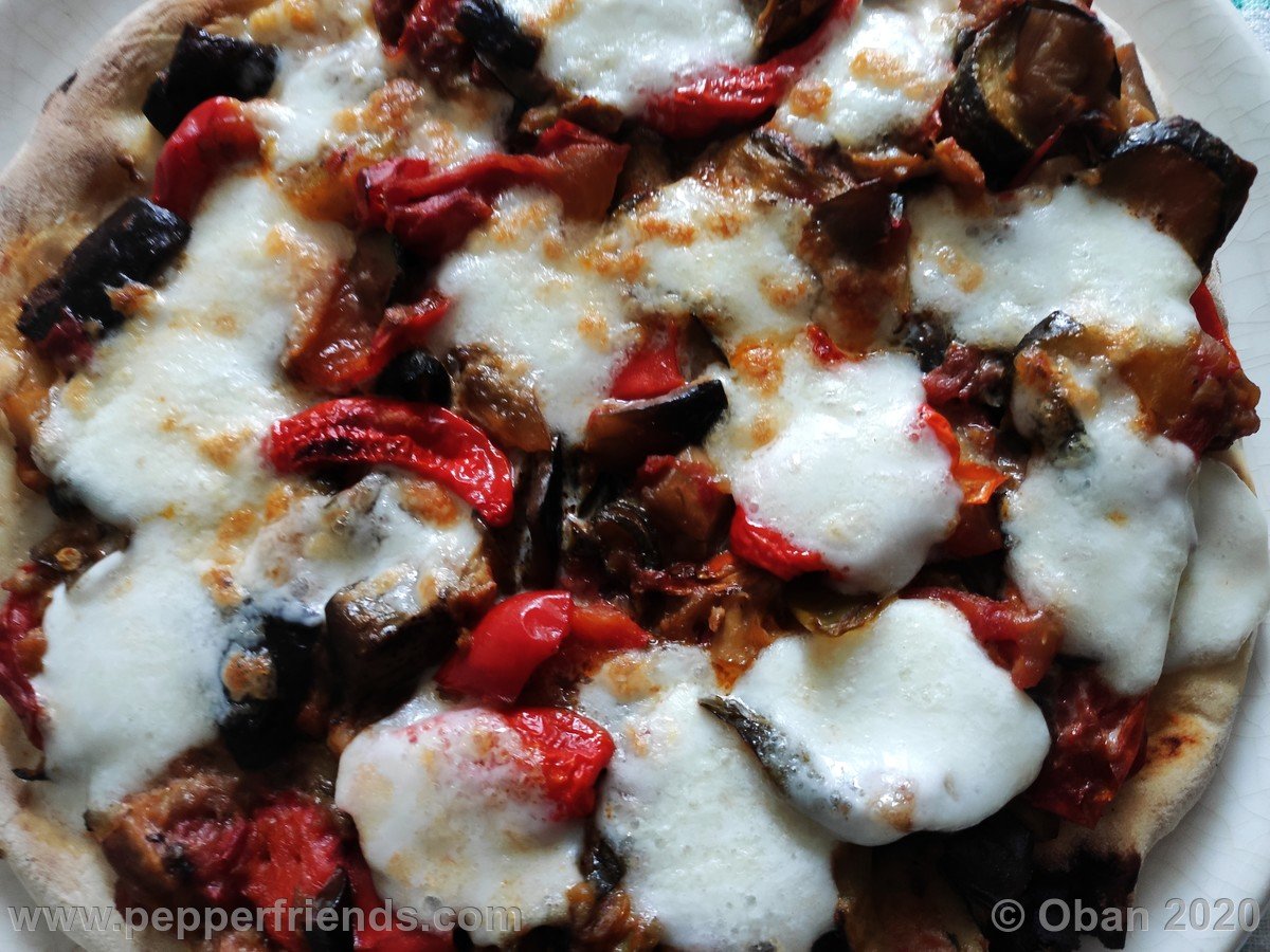 Pizza Ratatouille Con Rocoto.jpg