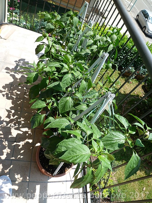 balcone1.jpg