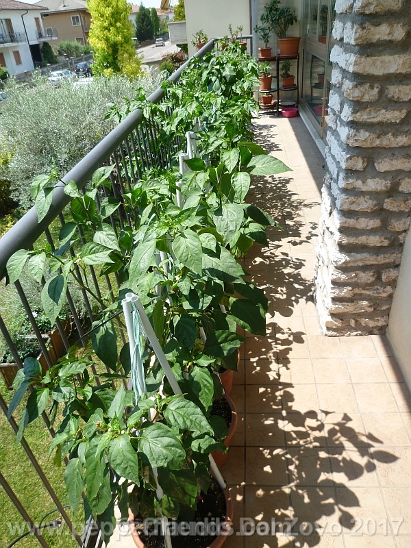 balcone2.jpg