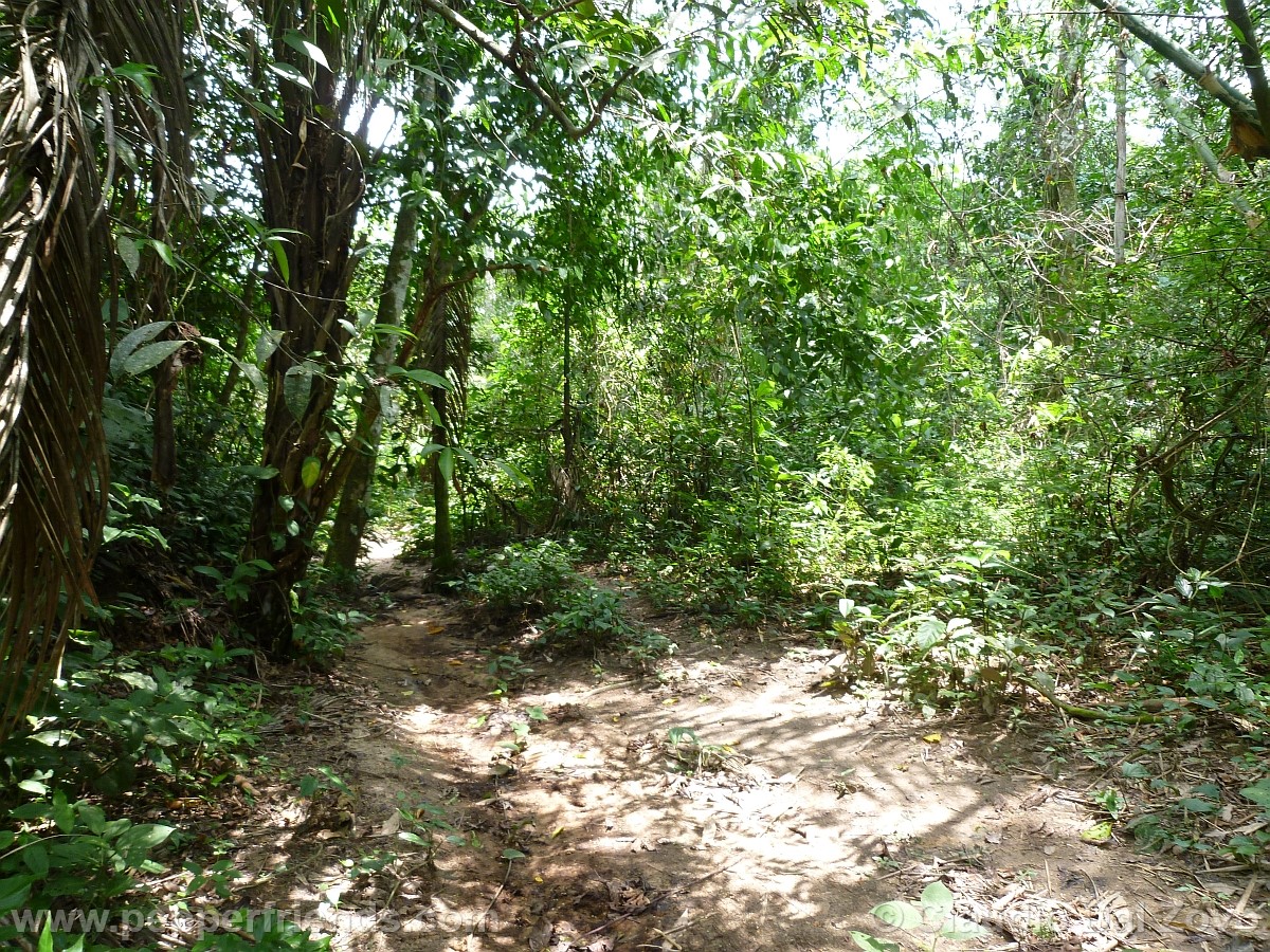 09ingressoamboro.jpg