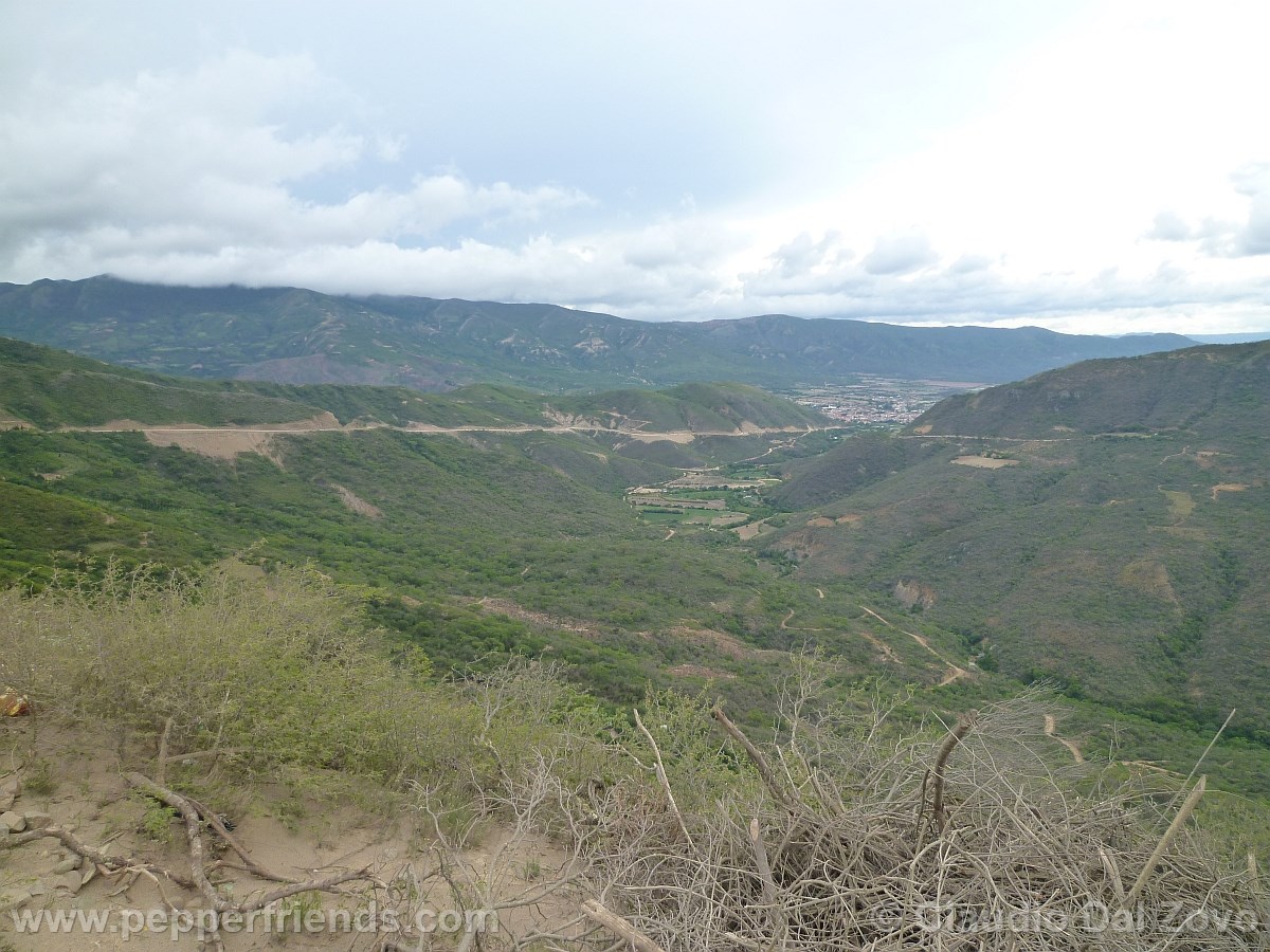 carretera.jpg