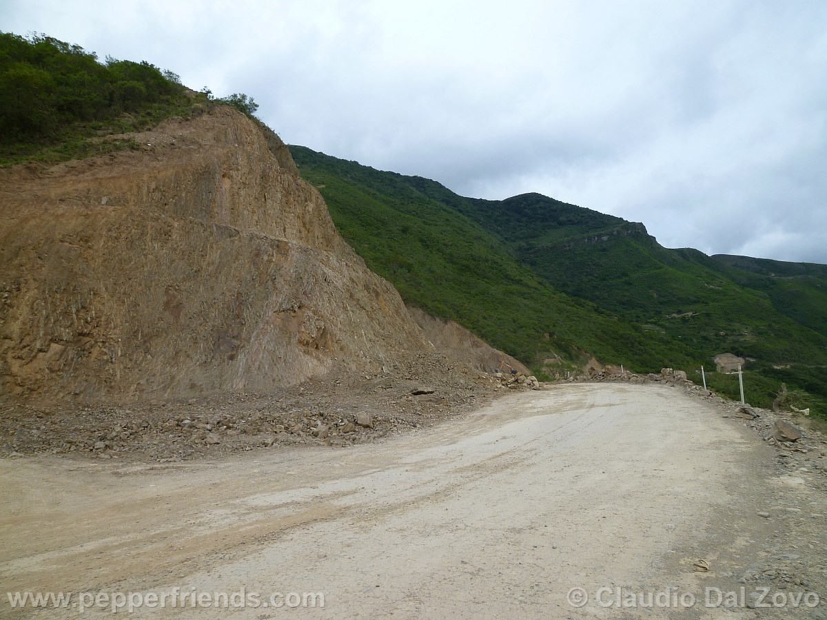 carretera2.jpg