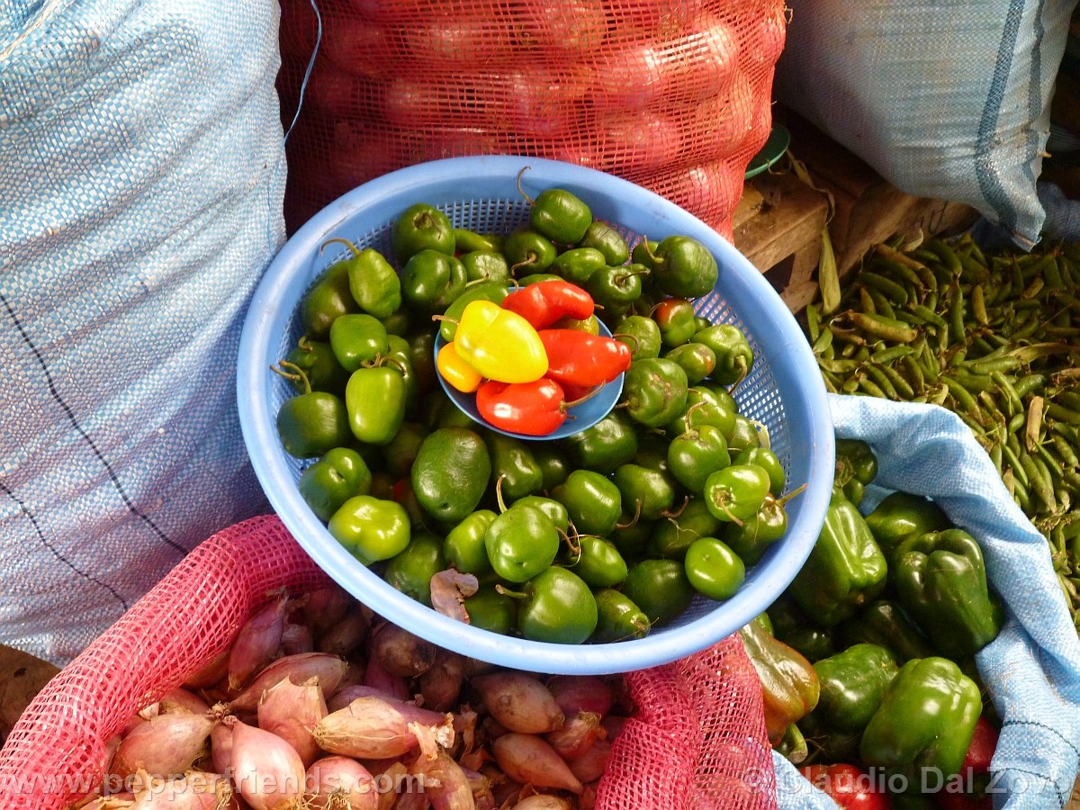 mercatorocotos.jpg