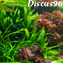 discus96