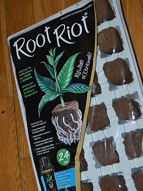 102 Root Riot.jpg