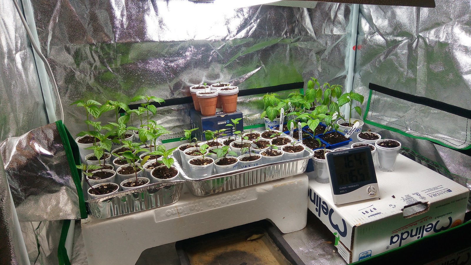 growbox exp 2018