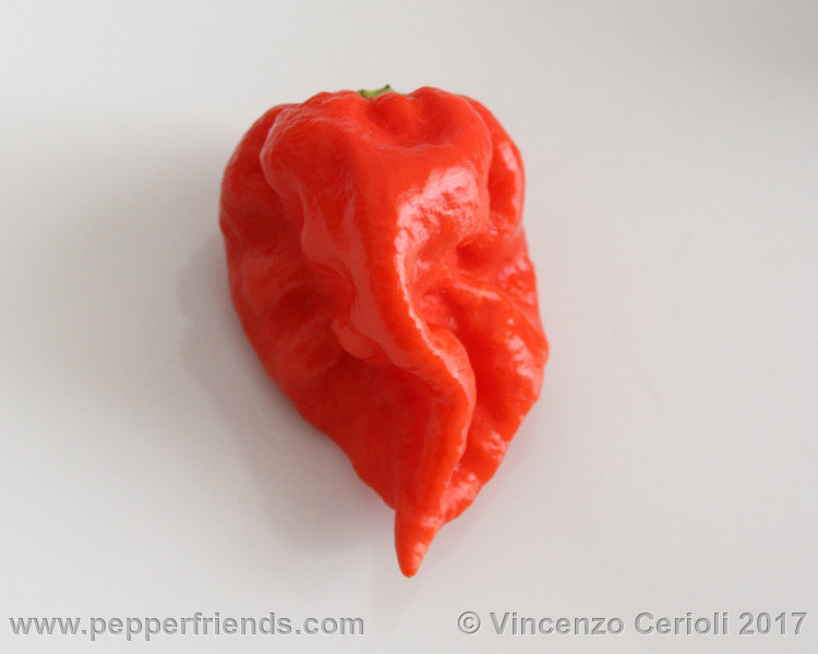 fatalii-gourmet-jigsaw_001_frutto_01.jpg.6ee3fdb4dbeaefcd3d9520abab0a1b11.jpg