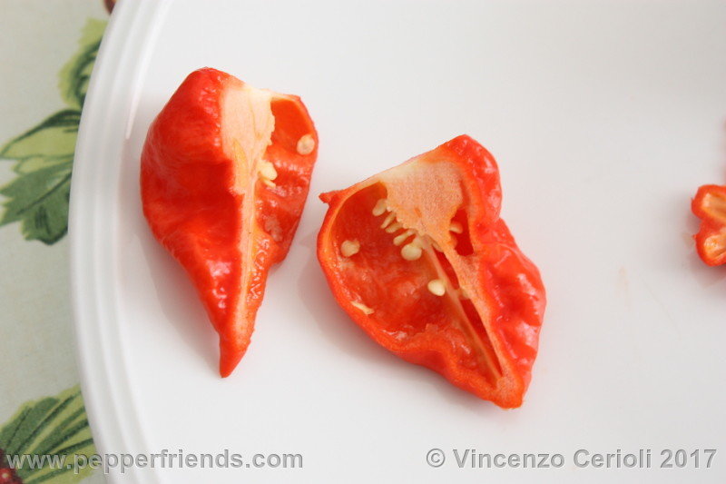 fatalii-gourmet-jigsaw_002_frutto_02.jpg.a08261b84dd90c6d937812c737fa61c4.jpg