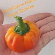 JOUKPEPPERS