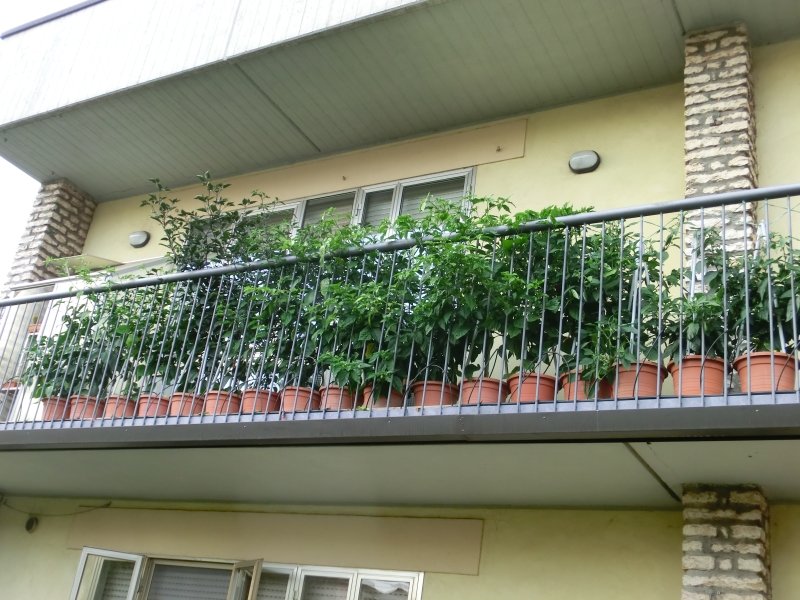 balcone1.jpg