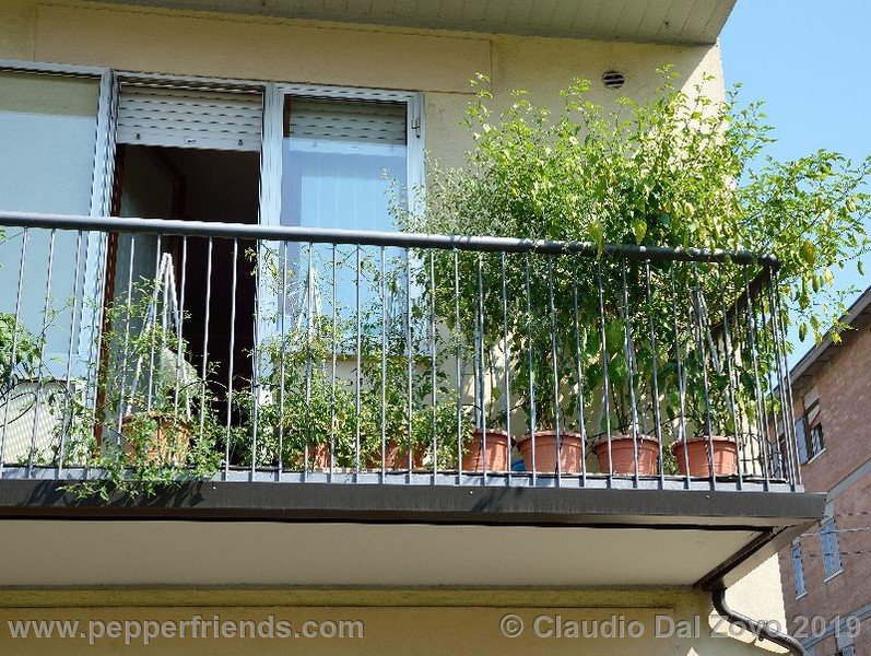 balcone3.jpg