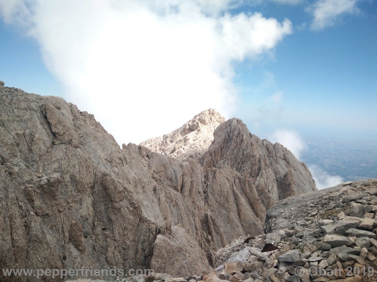 Gran Sasso - Corno Grande Vetta Occidentale 2019 - 047.jpg