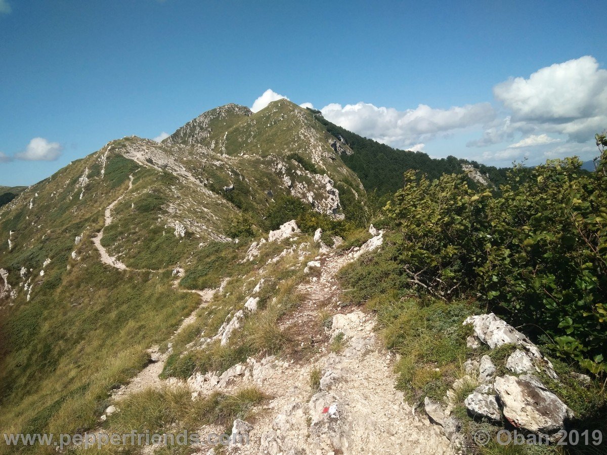 Monte Tarino 2019 - 03.jpg