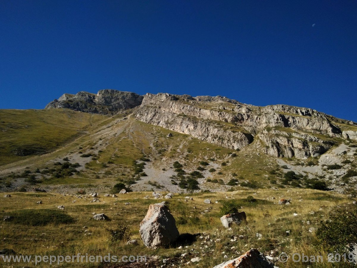 Peperoncini 2019 - 2186 Cimata Selva del Coco.jpg