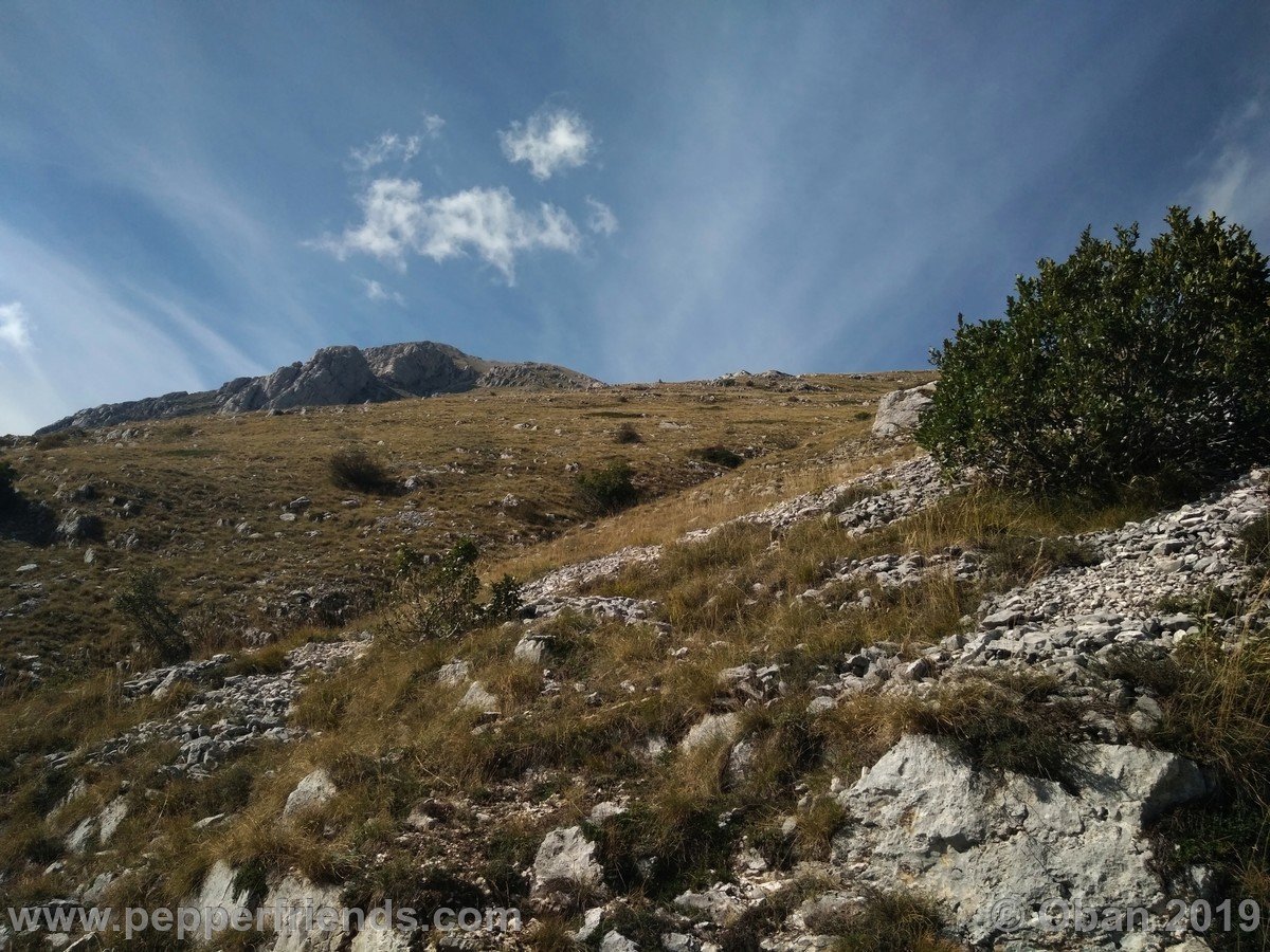 Monte Il Bicchero & Cafornia 2019 - 088.jpg