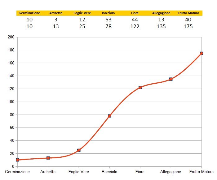 RA 12 Grafico Crescita.jpg