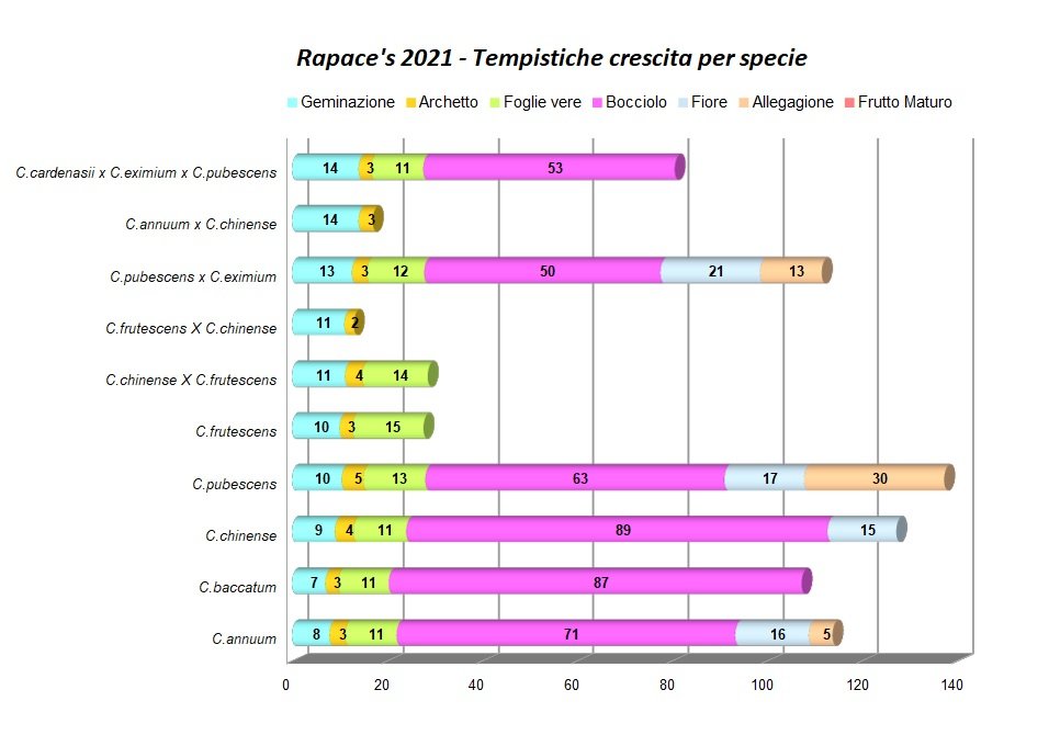 Fasi Crescita A.jpg