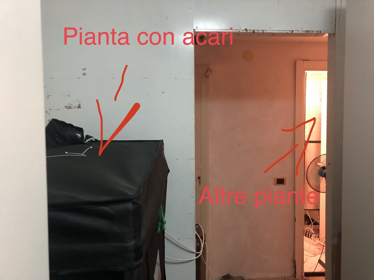 B070A399-2FD5-4B2F-BCDC-F51B4E5284C6.jpeg.8156c0a48c489c62879a532d71242a15.jpeg