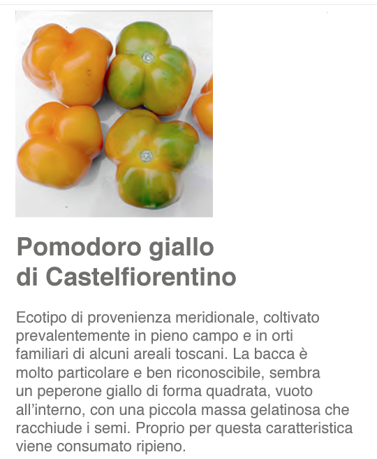 GialloCastelfiorentino.png.f69dbccede1f72a295fd2fc5471f5795.png