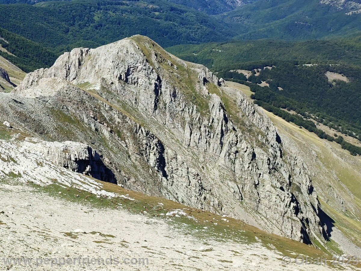 Monte Corvo dal Chiarino e Cresta Ovest - 27.jpg