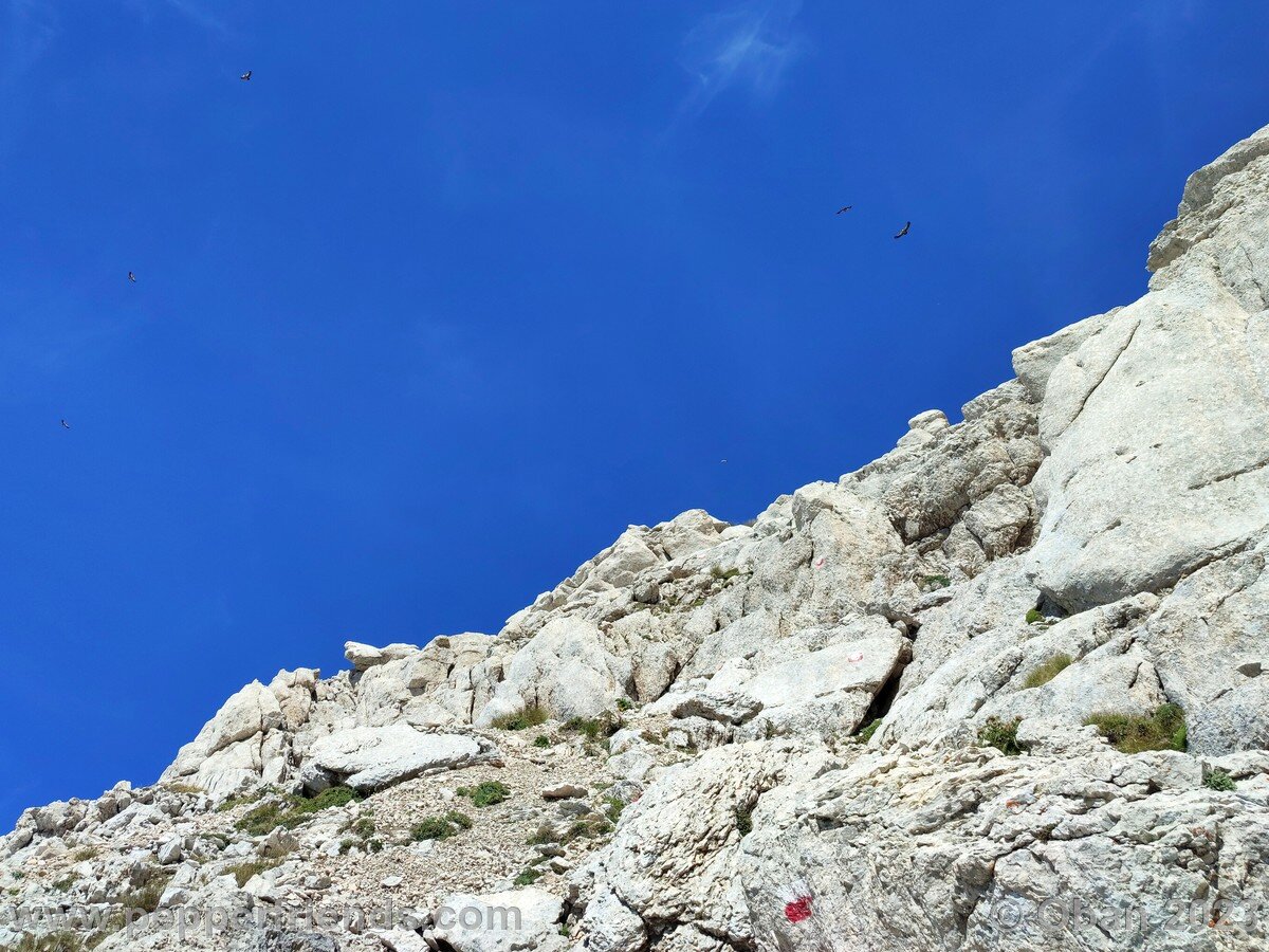 Monte Corvo dal Chiarino e Cresta Ovest - 12.jpg