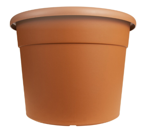 image.png.39d917584bef174bd6a9fab2052ada0b.png
